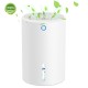 220V Mini Air Dehumidifier Electric Household Dryer Auto-off Home Office 220V Mini Air Dehumidifier Electric Household Dryer Auto-off Home Office