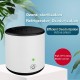 Mini Kitchen Fridge USB Air Purifier Car Air Purifier Desktop Ozone Portable Air Purifier For Car Fridge Office Kitchen Accessories