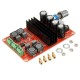 TPA3116D2 12V~24V Dual Channel 2x100W Audio Digital Amplifier Board