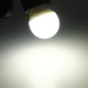B22 3W Warm White/White AC 220V 8 SMD 2835 LED Globe Light Bulb B22 3W Warm White/White AC 220V 8 SMD 2835 LED Globe Light Bulb