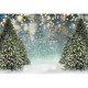 0.9x1.5m 1.5x2.1m 1.8x2.7m Winter Snowflake Christmas Tree Photography Backdrops Glitter Decoration Background Cloth for Studio Photo Backdrop Prop 0.9x1.5m 1.5x2.1m 1.8x2.7m Winter Snowflake Christmas Tree Photography Backdrops Glitter Decoration Background Cloth for Studio Photo Backdrop Prop