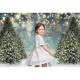 0.9x1.5m 1.5x2.1m 1.8x2.7m Winter Snowflake Christmas Tree Photography Backdrops Glitter Decoration Background Cloth for Studio Photo Backdrop Prop 0.9x1.5m 1.5x2.1m 1.8x2.7m Winter Snowflake Christmas Tree Photography Backdrops Glitter Decoration Background Cloth for Studio Photo Backdrop Prop