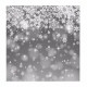 10x10FT Vinyl Winter Snow Flower Photography Backdrop Background Studio Prop 10x10FT Vinyl Winter Snow Flower Photography Backdrop Background Studio Prop