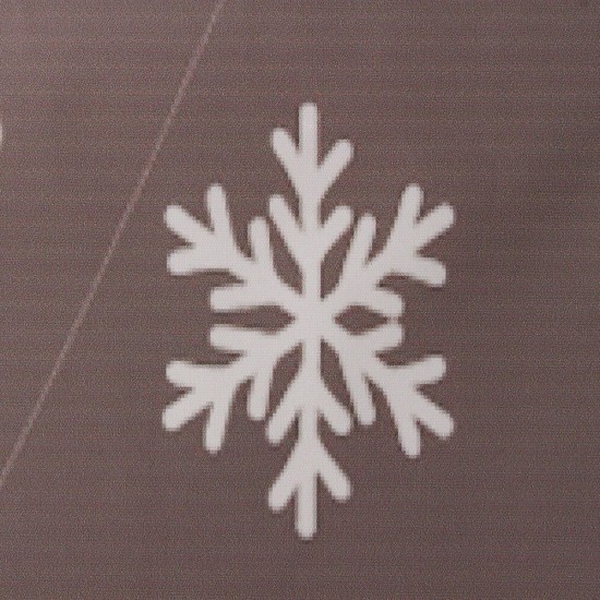 10x10FT Vinyl Winter Snow Flower Photography Backdrop Background Studio Prop