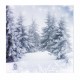 10x10FT Vinyl Winter Snow Lonely Forest Photography Backdrop Background Studio Prop 10x10FT Vinyl Winter Snow Lonely Forest Photography Backdrop Background Studio Prop