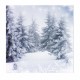 10x10FT Vinyl Winter Snow Lonely Forest Photography Backdrop Background Studio Prop