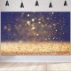 150x100CM 210x150CM 250x180CM Gold Glitter Vinyl Spray Painted Photography Backdrop Background