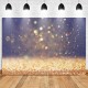 150x100CM 210x150CM 250x180CM Gold Glitter Vinyl Spray Painted Photography Backdrop Background