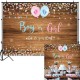 150x100CM 210x150CM 250x180CM Spray Painted Vinyl Boy Girl Gender Reveal Photography Backdrop Party Background Decoration