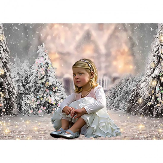 1.5x0.9m/2.2x1.5m/2.7x1.8m Christmas Photography Backdrops Snow Scene Background Cloth for Studio Photo Backdrop Prop