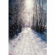 1.5x2.1m Christmas Forest Snow Background Vinyl Studio Backdrop