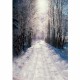1.5x2.1m Christmas Forest Snow Background Vinyl Studio Backdrop 1.5x2.1m Christmas Forest Snow Background Vinyl Studio Backdrop