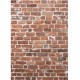 1.5x2.1m Photography Vinyl Background Worn Red Brick Wall Studio Backdrop 1.5x2.1m Photography Vinyl Background Worn Red Brick Wall Studio Backdrop