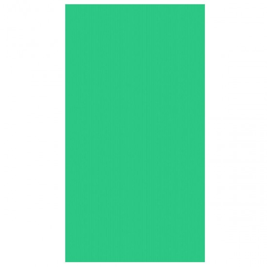 160x300cm Pure Color Photography Studio Backdrop Screen Non Woven Fabric Green T Background 160x300cm Pure Color Photography Studio Backdrop Screen Non Woven Fabric Green T Background