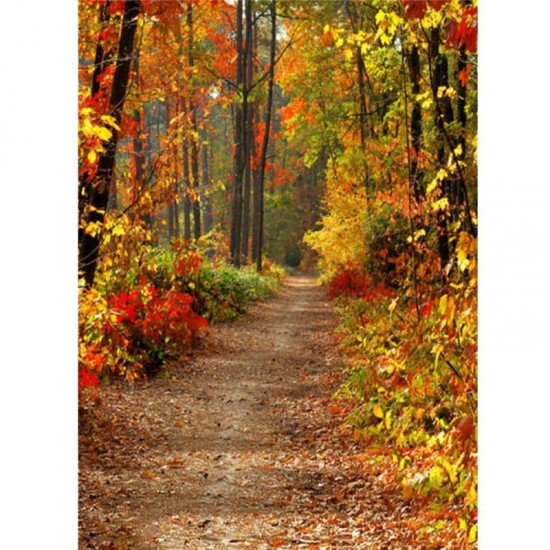 3x5FT Autumn Forest Path Theme Photography Vinyl Backdrop Studio Background