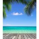 3x5FT Vinyl Summer Blue Sky Beach Coco Photography Backdrop Background Studio Prop 3x5FT Vinyl Summer Blue Sky Beach Coco Photography Backdrop Background Studio Prop