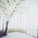 3x5ft Vinyl White Flower Tree Windows Photography Background Backdrops Photo Studio Prop