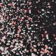 4.9x3.3FT 7.2x4.9FT 9.8x5.9FT Pink and Black Shiny Gold Dot Glamour Sparkle Studio Photography Backdrops Background