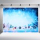 5x3FT 7x5FT Dream Snow Blue Scene Photography Backdrop Background Studio Prop 5x3FT 7x5FT Dream Snow Blue Scene Photography Backdrop Background Studio Prop