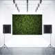 5x3ft 7x5ft 10x6.5ft Green Leaves Wall Backdrop Photography Wall Decor Background for Photo Video Wedding Birthday Party 5x3ft 7x5ft 10x6.5ft Green Leaves Wall Backdrop Photography Wall Decor Background for Photo Video Wedding Birthday Party