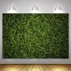 5x3ft 7x5ft 10x6.5ft Green Leaves Wall Backdrop Photography Wall Decor Background for Photo Video Wedding Birthday Party 5x3ft 7x5ft 10x6.5ft Green Leaves Wall Backdrop Photography Wall Decor Background for Photo Video Wedding Birthday Party