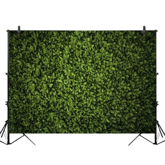 5x3ft 7x5ft 10x6.5ft Green Leaves Wall Backdrop Photography Wall Decor Background for Photo Video Wedding Birthday Party 5x3ft 7x5ft 10x6.5ft Green Leaves Wall Backdrop Photography Wall Decor Background for Photo Video Wedding Birthday Party