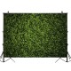 5x3ft 7x5ft 10x6.5ft Green Leaves Wall Backdrop Photography Wall Decor Background for Photo Video Wedding Birthday Party
