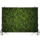 5x3ft 7x5ft 10x6.5ft Green Leaves Wall Backdrop Photography Wall Decor Background for Photo Video Wedding Birthday Party 5x3ft 7x5ft 10x6.5ft Green Leaves Wall Backdrop Photography Wall Decor Background for Photo Video Wedding Birthday Party