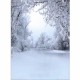 5x7FT Vinyl Winter Snow Forest Photography Backdrop Background Studio Prop