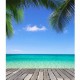5x7Ft Hawaii Seaside Beach Sky Tree Scenery Photography Background Backdrop Studio Prop