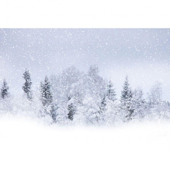 7x5FT Snow Covered Forest Photography Background Studio Backdrop 2.1x1.5m