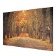 7x5ft Autumn Forest Background Photography Backdrop Studio Photo Vinyl Cloth