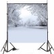8x8FT Winter Lonely Forest Photography Backdrop Background Studio Prop