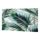 Forest Backdrop Green Tropical Leaves Vinyl Backdrops Palm Trees and Monstera Photography Background for Interior Room Wallpaper Summer Camp Photo Studio Props