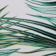 Forest Backdrop Green Tropical Leaves Vinyl Backdrops Palm Trees and Monstera Photography Background for Interior Room Wallpaper Summer Camp Photo Studio Props Forest Backdrop Green Tropical Leaves Vinyl Backdrops Palm Trees and Monstera Photography Background for Interior Room Wallpaper Summer Camp Photo Studio Props