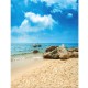 Photography Background Vinyl Fabric Cloth Sky Beach Sand Stones 90x150cm Photography Background Vinyl Fabric Cloth Sky Beach Sand Stones 90x150cm