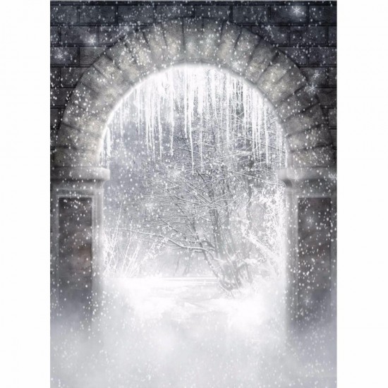 Snow Forest Archway Magic World Theme Photography Vinyl Backdrop Studio Background 2.1m x 1.5m Snow Forest Archway Magic World Theme Photography Vinyl Backdrop Studio Background 2.1m x 1.5m