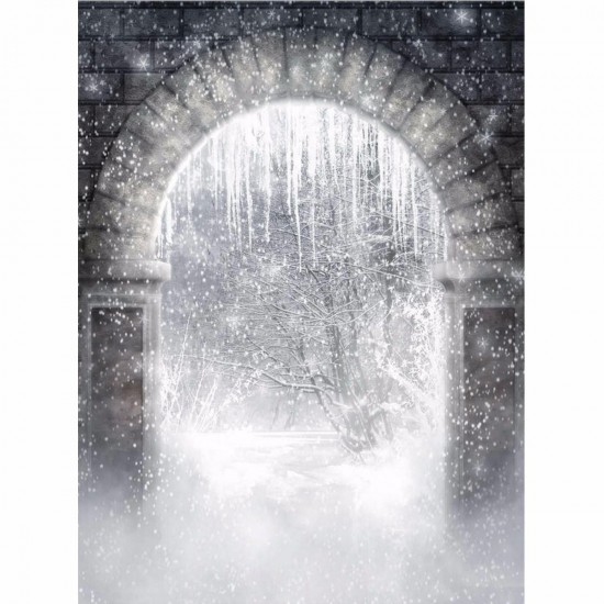 Snow Forest Archway Magic World Theme Photography Vinyl Backdrop Studio Background 2.1m x 1.5m