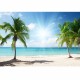 Vinyl Background Cloth Photography Palm Beach Studio Backdrop Vinyl Background Cloth Photography Palm Beach Studio Backdrop