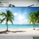 Vinyl Background Cloth Photography Palm Beach Studio Backdrop Vinyl Background Cloth Photography Palm Beach Studio Backdrop