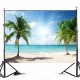 Vinyl Background Cloth Photography Palm Beach Studio Backdrop Vinyl Background Cloth Photography Palm Beach Studio Backdrop