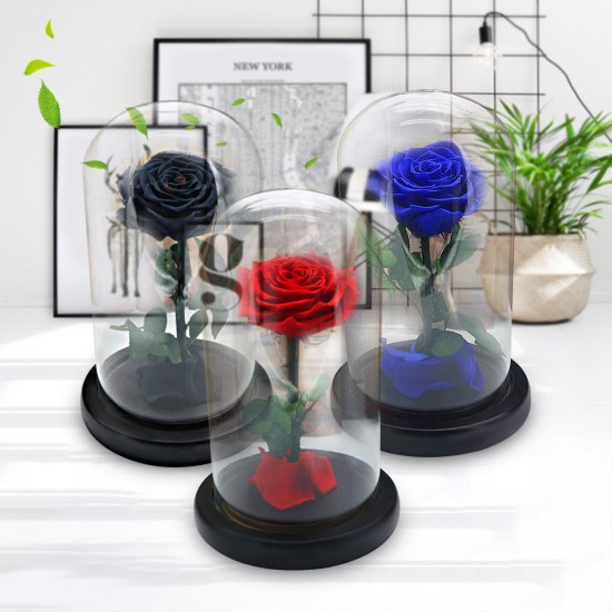 Forever Rose Beauty & The Immortal Fresh Flower Christmas Unique Gifts Decorations Forever Rose Beauty & The Immortal Fresh Flower Christmas Unique Gifts Decorations