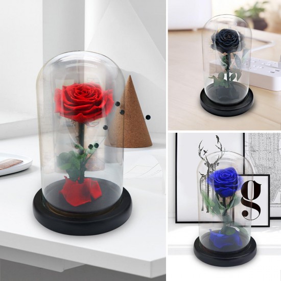 Forever Rose Beauty & The Immortal Fresh Flower Christmas Unique Gifts Decorations Forever Rose Beauty & The Immortal Fresh Flower Christmas Unique Gifts Decorations