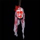 Halloween Decorations Horror Props Horrible Skeleton Bleeding Skull Scary Spooky Hanging Props Party Decor Supplies