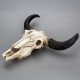 Halloween Long horn Skull Resin Cow Skull Sculpture Statue Wall Decorations Horns Wall Mount Home Bar Wall