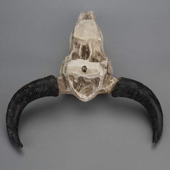 Halloween Long horn Skull Resin Cow Skull Sculpture Statue Wall Decorations Horns Wall Mount Home Bar Wall