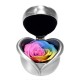 Handmade Preserved Fresh Flower Immortal Rose in Box Valentines Day Decorations Lady Gifts Handmade Preserved Fresh Flower Immortal Rose in Box Valentines Day Decorations Lady Gifts