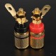 5X2Pcs Speaker Terminal Binding Post Banana Plug Socket Connector 5X2Pcs Speaker Terminal Binding Post Banana Plug Socket Connector