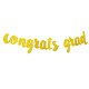 Graduation Party Banner Golden Shining We Are So Proud Of You Paper Hat Hanging Banner Party Decoration