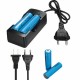 2x 3.7V 3000mAh 18650 Li-ion Battery + EU/US Plug Charger